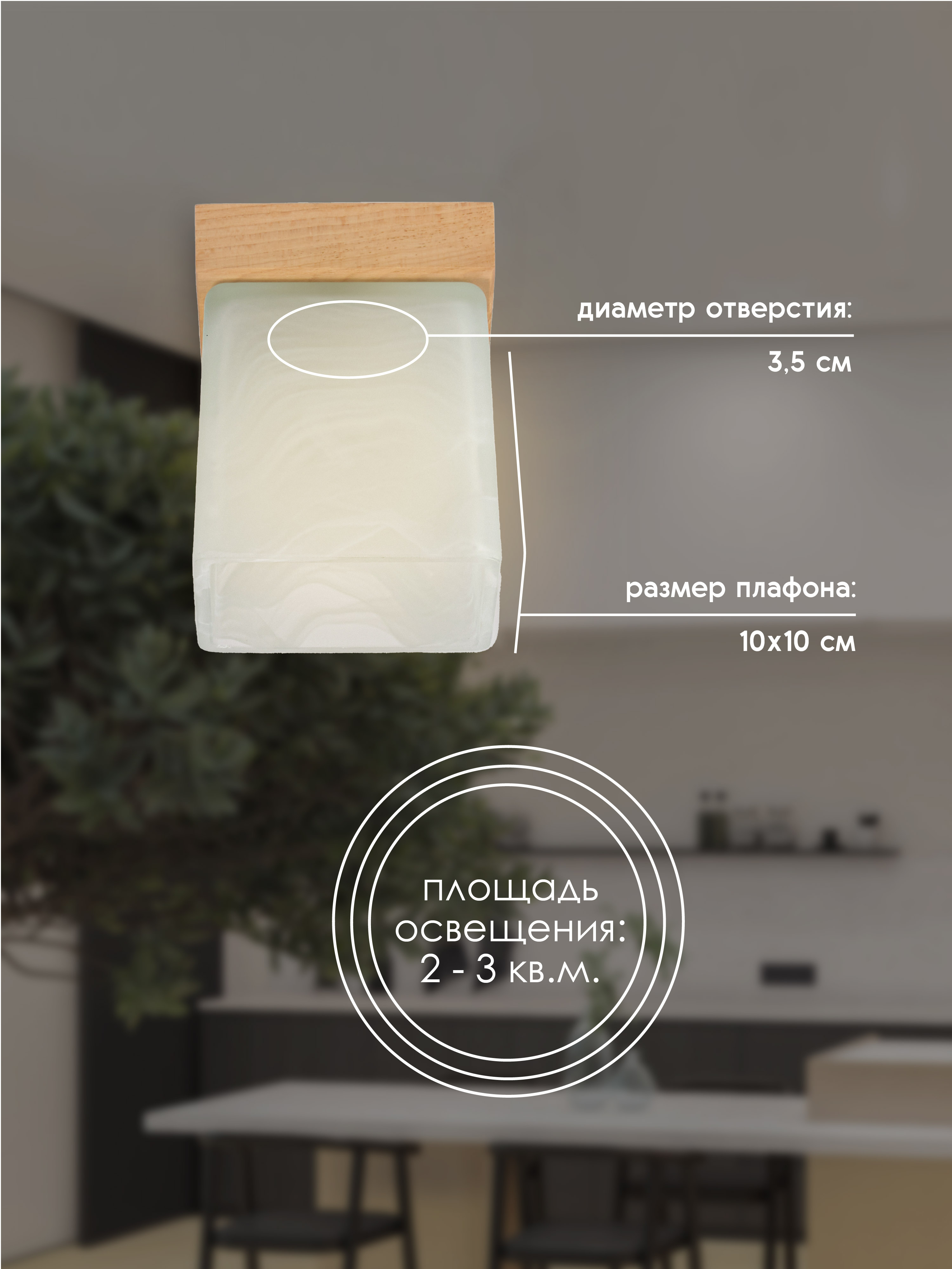 Потолочный светильник 6424-1SP NL 000036813