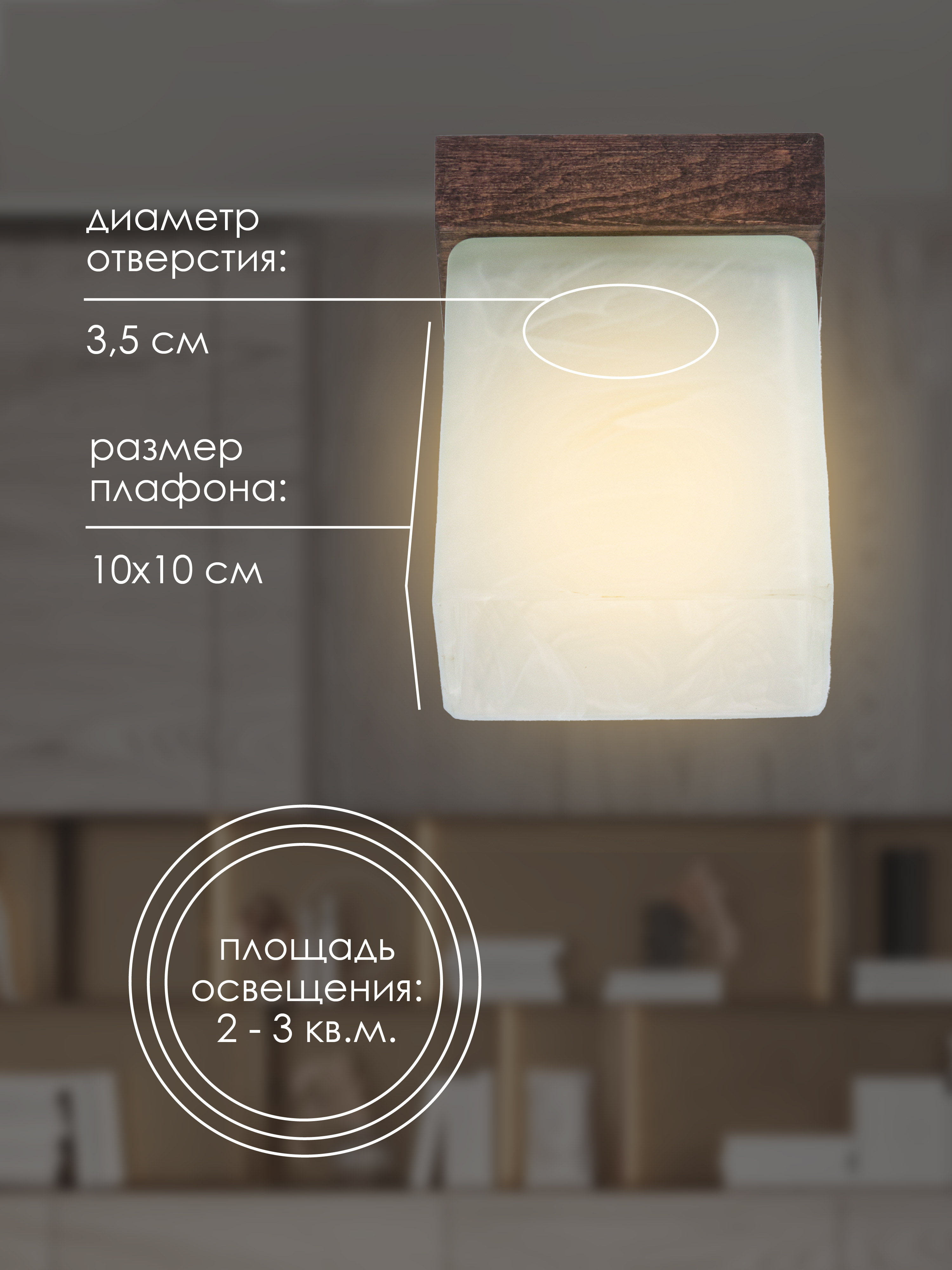 Потолочный светильник 6424-1SP WG 000036814