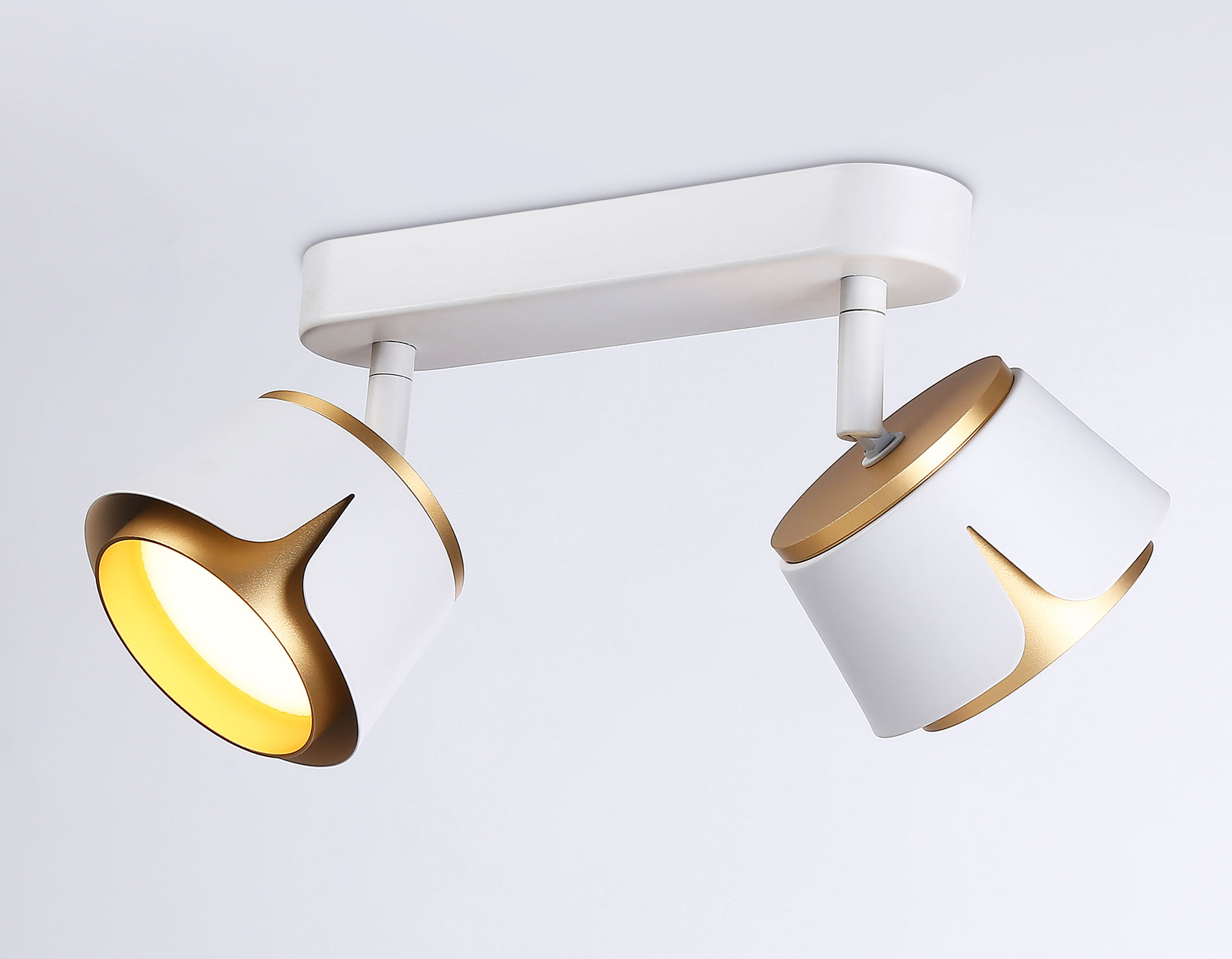 TN71229/2 WH/GD белый/золото GX53/2 220*100*147