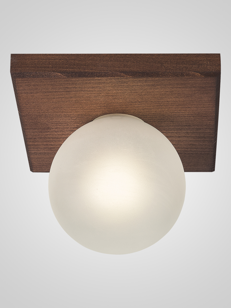 Потолочный светильник 6426N-1 PR 000067478