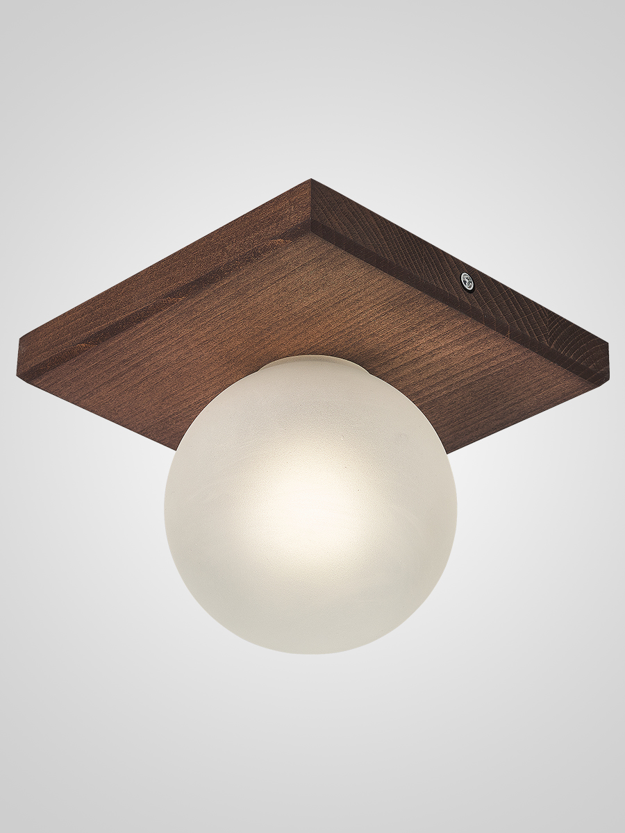 Потолочный светильник 6426N-1 PR 000067478