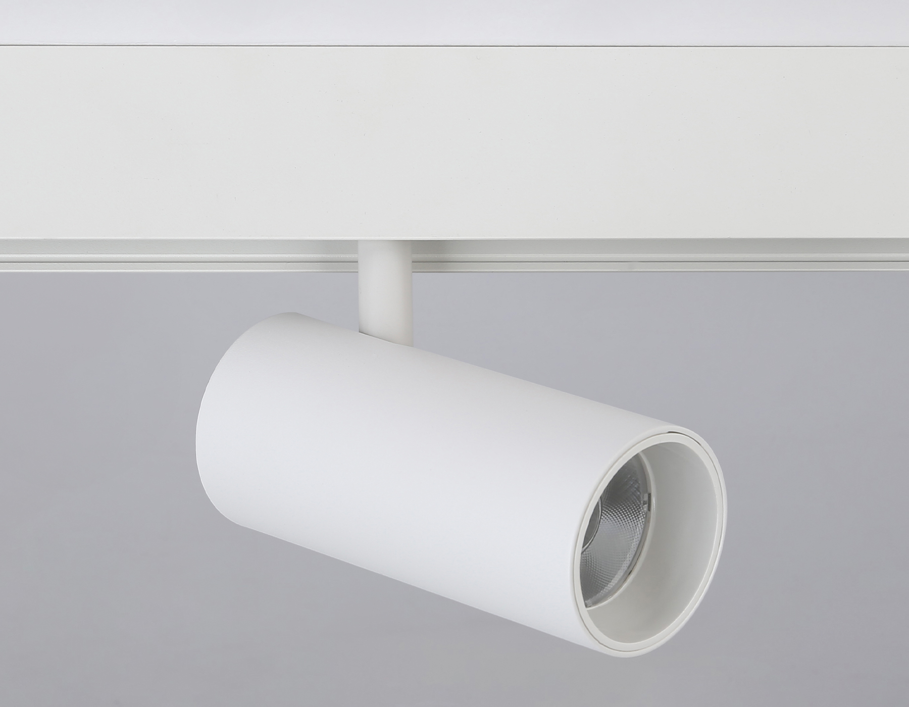 GL3828 WH белый IP20 15W 4200K 48V 24° D57*128