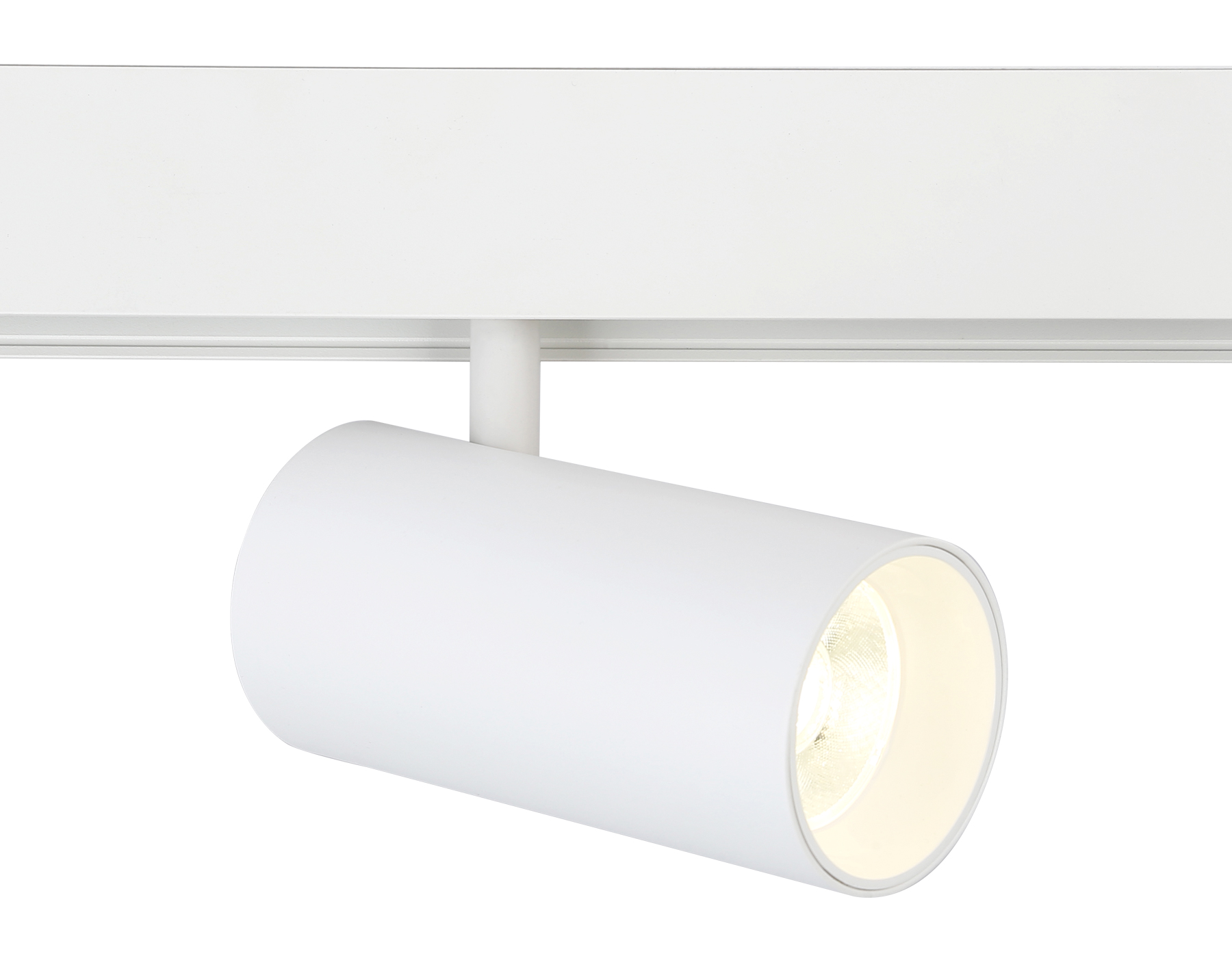 GL3838 WH белый IP20 20W 4200K 48V 24° D67*138