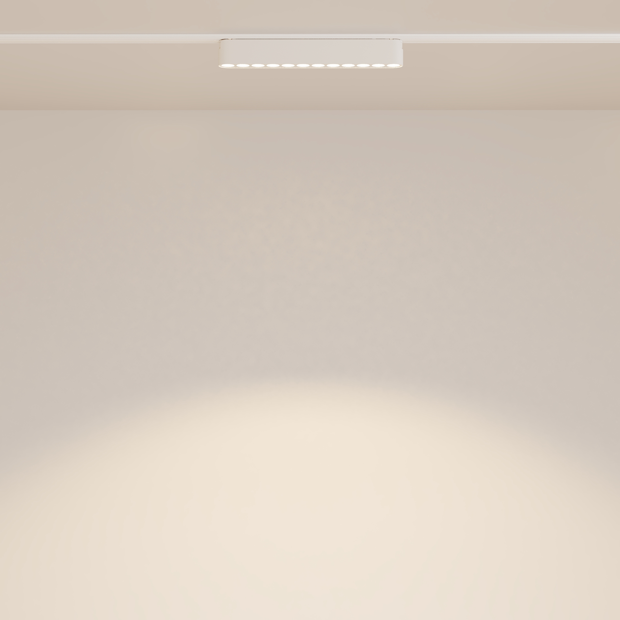 Трековый светильник Technical TR082-1-12W3K-M-W