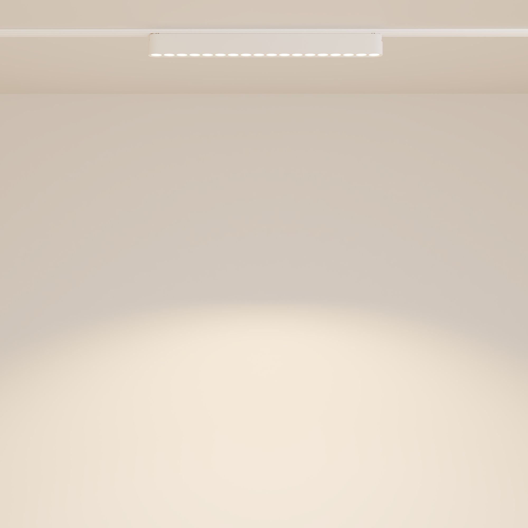 Трековый светильник Technical TR082-1-18W3K-M-W