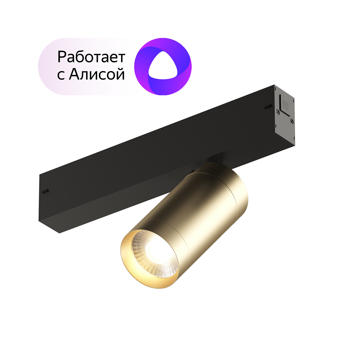 DK8010-BG Акцентный светильник SMART SPOT 9W DIM 3000K-6000K, матовое золото с черным