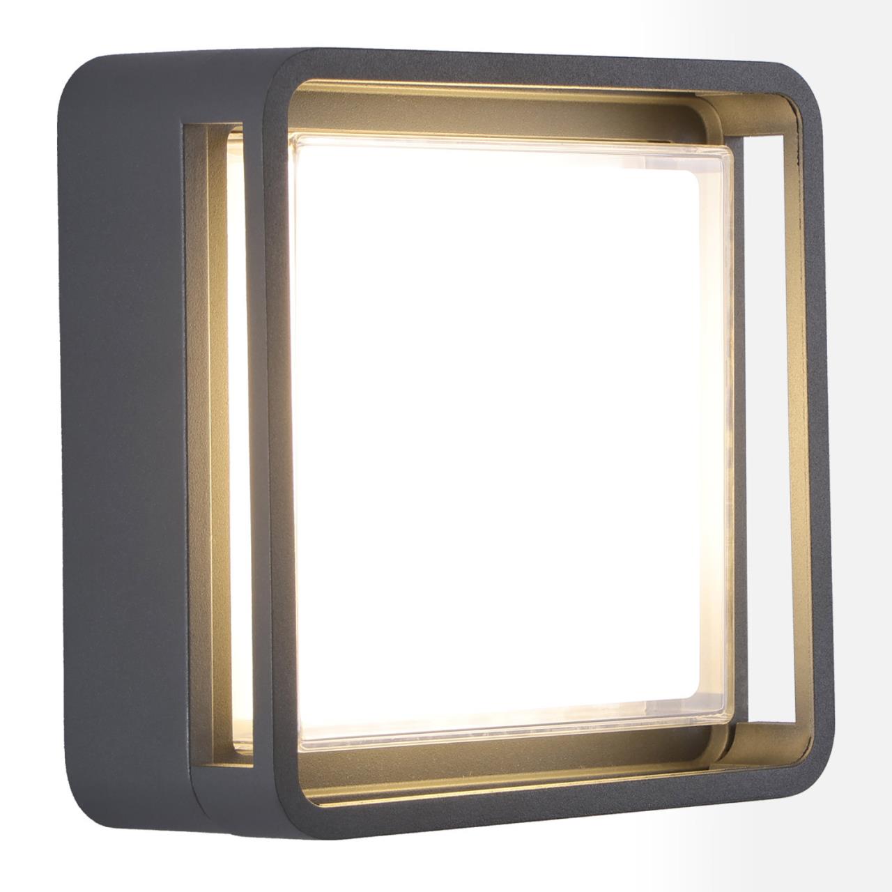 Бра Lussole SY5837