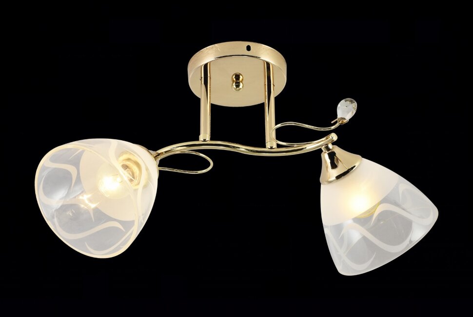 МС-XA1378/2 FGD (10) светильник потолочный [01102768]