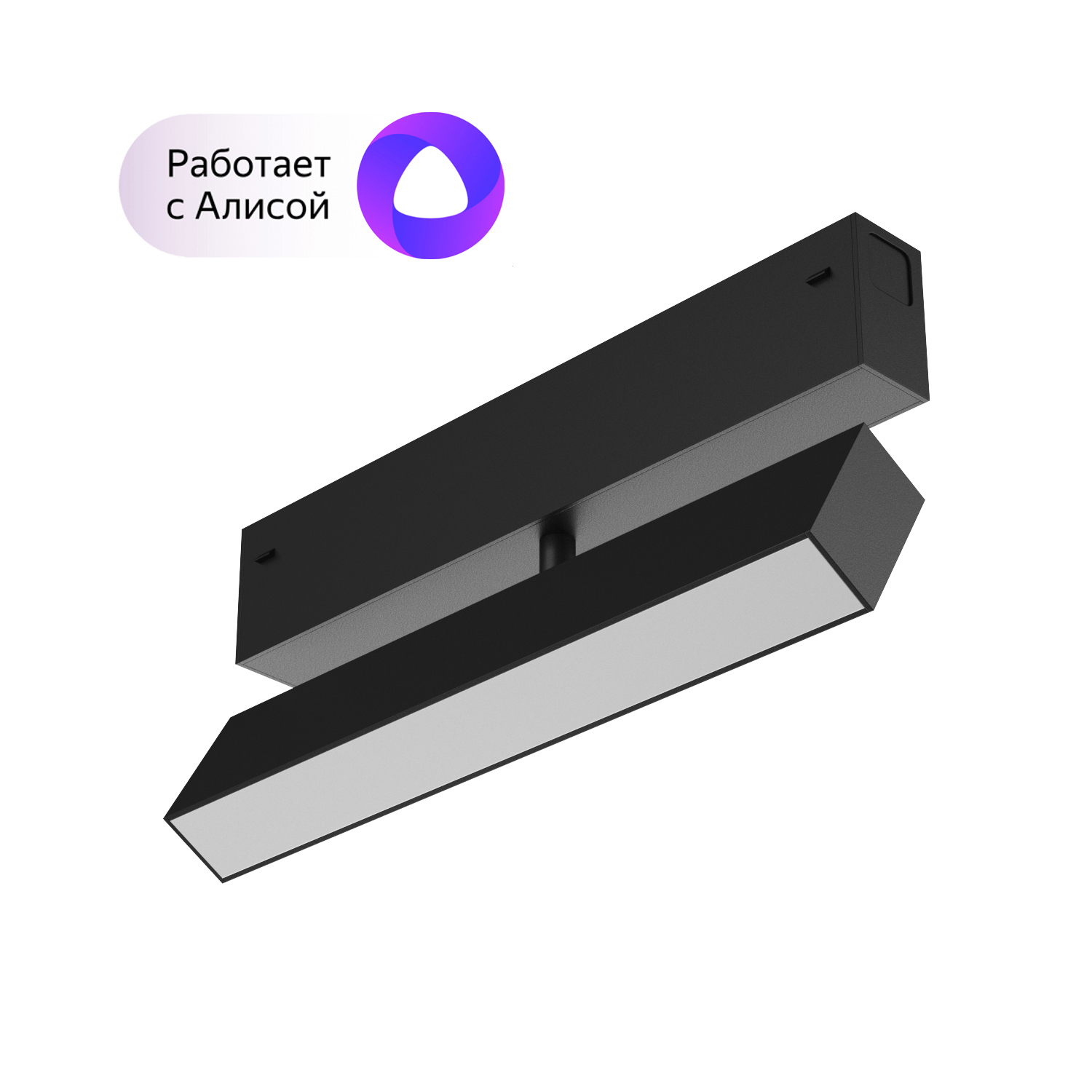 DK8009-BK Поворотный матовый светильни SMART 9W DIM 3000K-6000K черный