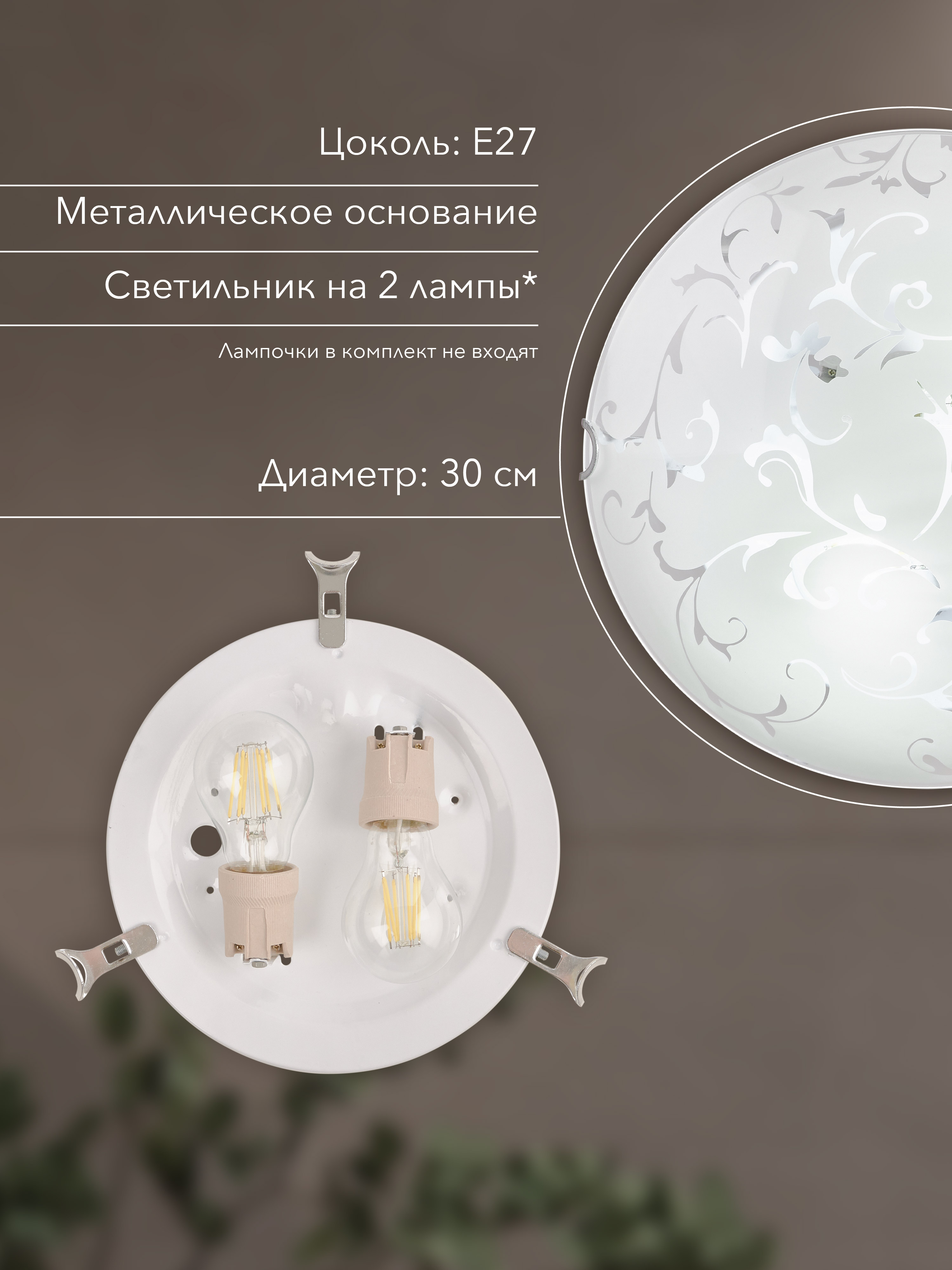 Настенно-потолочный светильник Snow White R1004-2W-300 WT 000059669