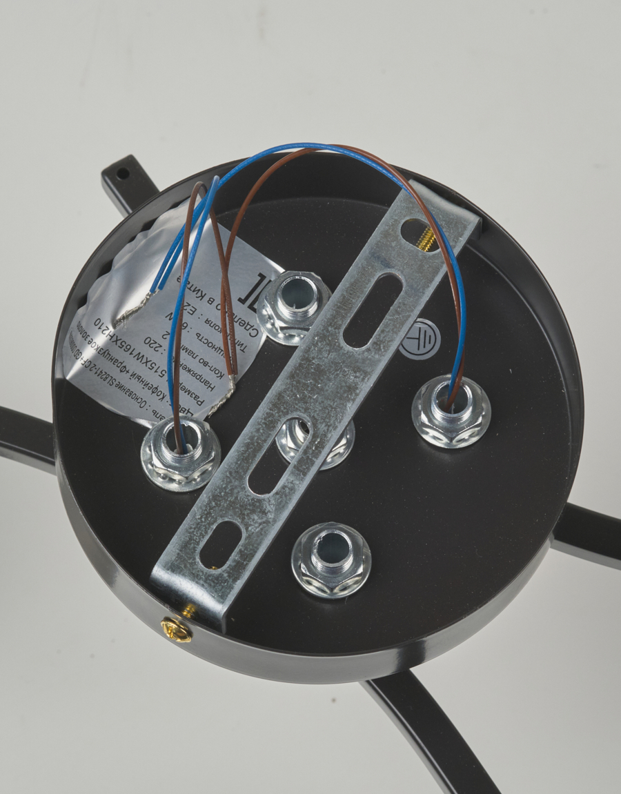 Потолочная люстра SL8241-2 CF+GD 000065848