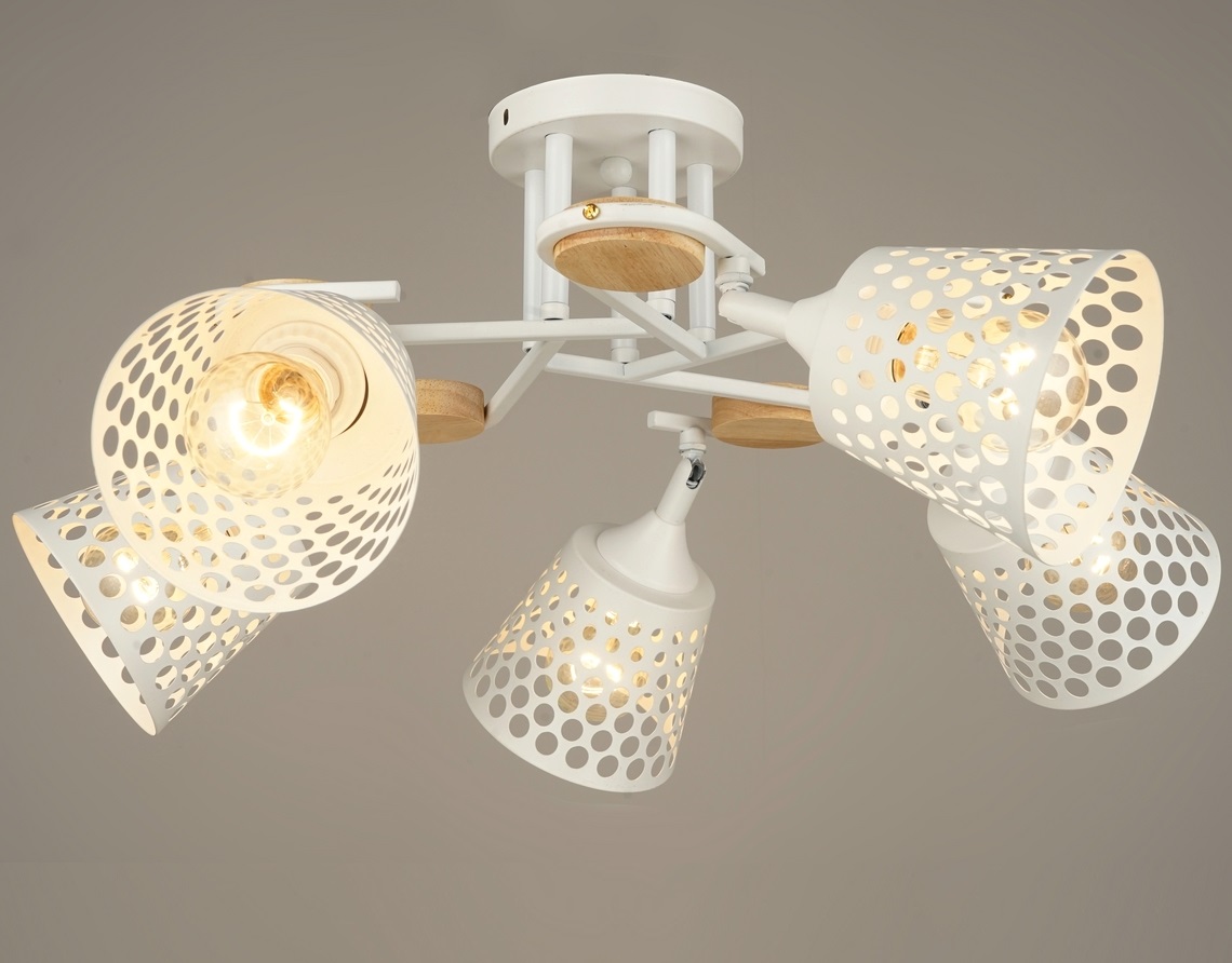 Потолочная люстра P5690-5 WT 000029362